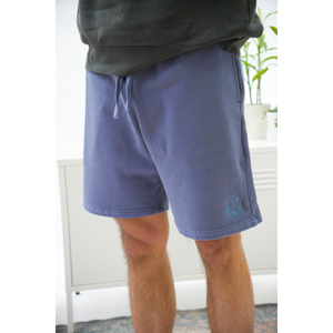 Terrain Shorts - Washed Sea