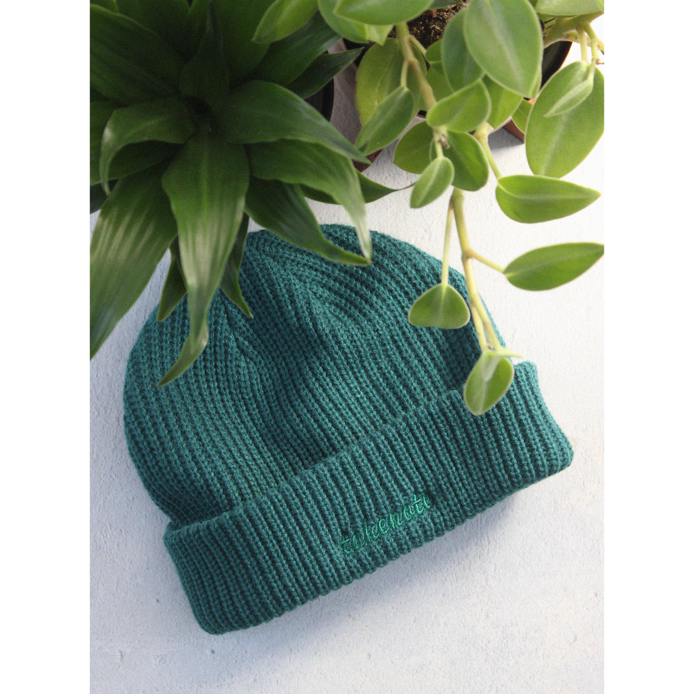 Seaport Beanie - Jade